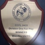 Combined Counties League Fair Play Award.